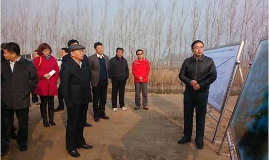 張波廳長視察馬踏湖生態環境保護試點項目實施進展
