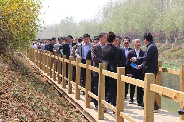我院承擔的“薛城污水處理廠下游人工濕地水質(zhì)凈化工程”項目得到高度評價
